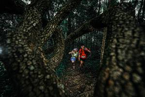 BIB: 
                            <button type="button" onclick="openModal(25678370)" class="btn btn-primary btn-sm float-right btn-popup" data-toggle="modal" data-target=".modal-high-quality">
                        <i class="fas fa-shopping-cart"></i> Add to Cart
                    </button>
                                            <button type="button" onclick="isThisMe(25678370, true)" class="btn btn-success btn-sm float-right btn-popup btn-isme hidden" data-toggle="tooltip" data-placement="bottom" title="นี่คือรูปของคุณใช่ไหม คลิกที่นี่เพื่อเอาเข้าอัลบั้ม">
                        <i class="fas fa-plus"></i> Add to album
                    </button>
                    <button type="button" onclick="isThisMe(25678370, false)" class="btn btn-warning btn-sm float-right btn-popup btn-isnotme hidden">
                        <i class="fas fa-ban"></i> Remove from album
                    </button>